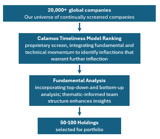investment process